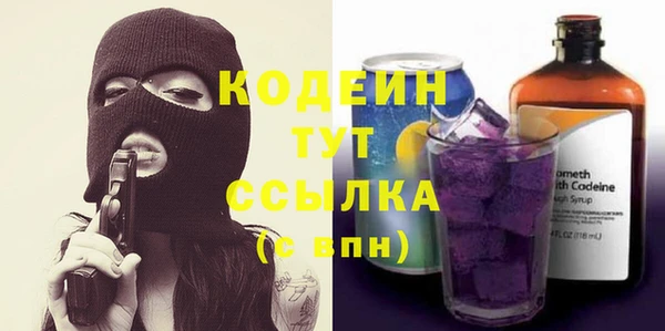 apvp Няндома