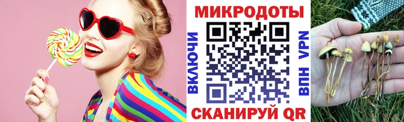 Псилоцибиновые грибы ЛСД  KRAKEN как войти  Осинники  закладки 
